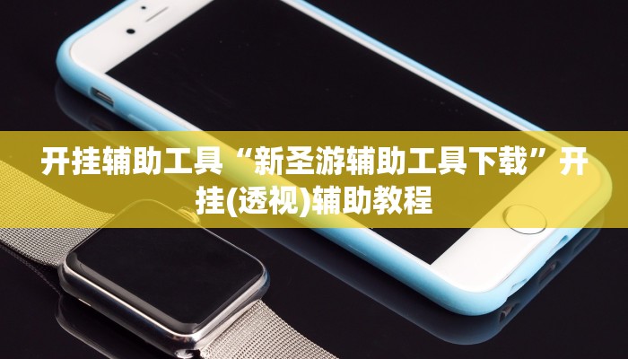 开挂辅助工具“新圣游辅助工具下载”开挂(透视)辅助教程