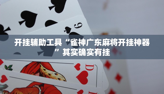 开挂辅助工具“雀神广东麻将开挂神器”其实确实有挂 开挂辅助工具“雀神广东麻将开挂神器”其实确实有挂