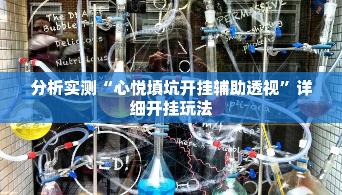 分析实测“心悦填坑开挂辅助透视”详细开挂玩法