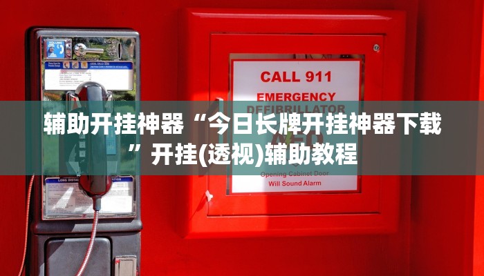辅助开挂神器“今日长牌开挂神器下载”开挂(透视)辅助教程