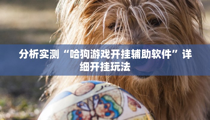 分析实测“哈狗游戏开挂辅助软件”详细开挂玩法