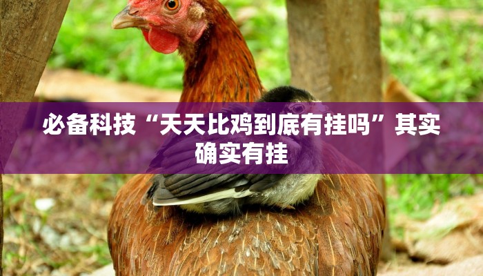 必备科技“天天比鸡到底有挂吗”其实确实有挂