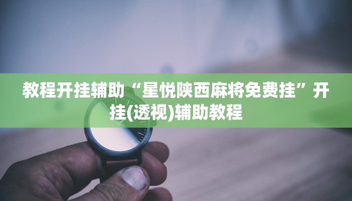 教程开挂辅助“星悦陕西麻将免费挂”开挂(透视)辅助教程