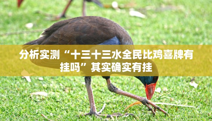 分析实测“十三十三水全民比鸡喜牌有挂吗”其实确实有挂 分析实测“十三十三水全民比鸡喜牌有挂吗”其实确实有挂