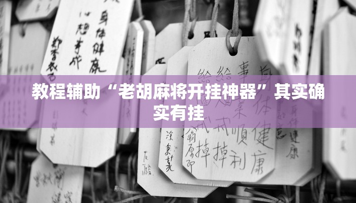 教程辅助“老胡麻将开挂神器”其实确实有挂