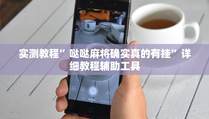 实测教程”哒哒麻将确实真的有挂”详细教程辅助工具 实测教程”哒哒麻将确实真的有挂”详细教程辅助工具