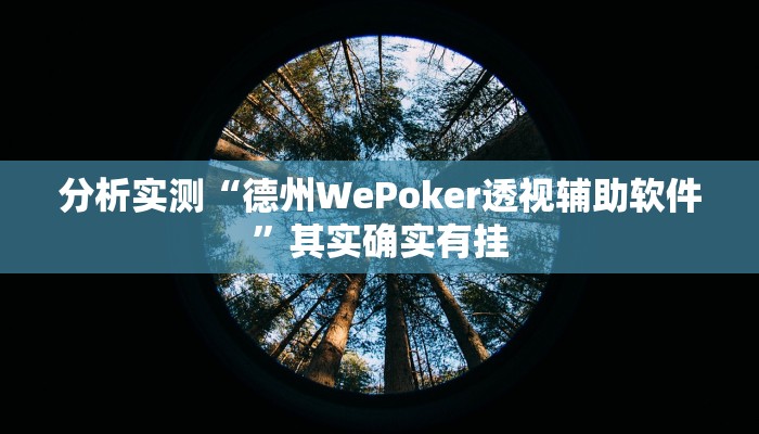 分析实测“德州WePoker透视辅助软件”其实确实有挂