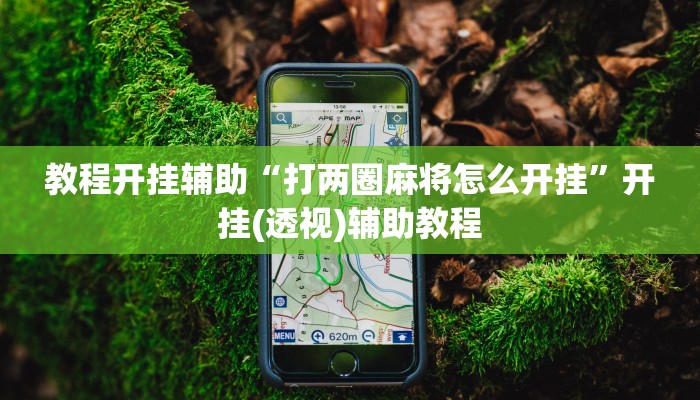 教程开挂辅助“打两圈麻将怎么开挂”开挂(透视)辅助教程