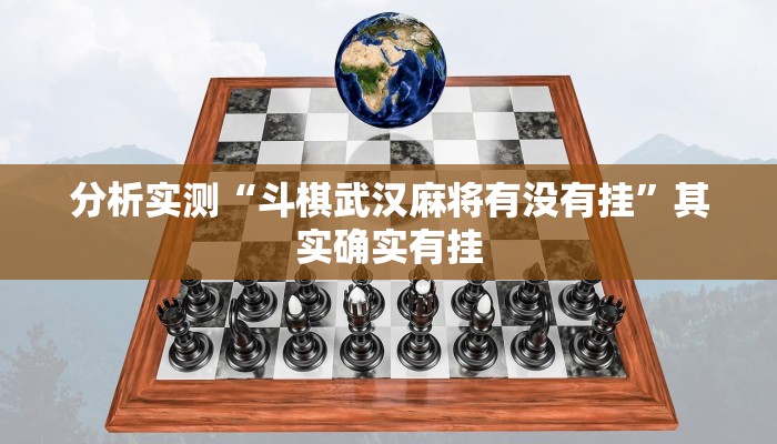 分析实测“斗棋武汉麻将有没有挂”其实确实有挂