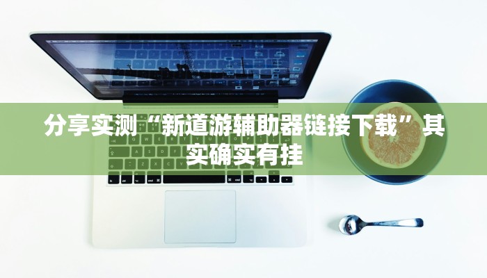 分享实测“新道游辅助器链接下载”其实确实有挂