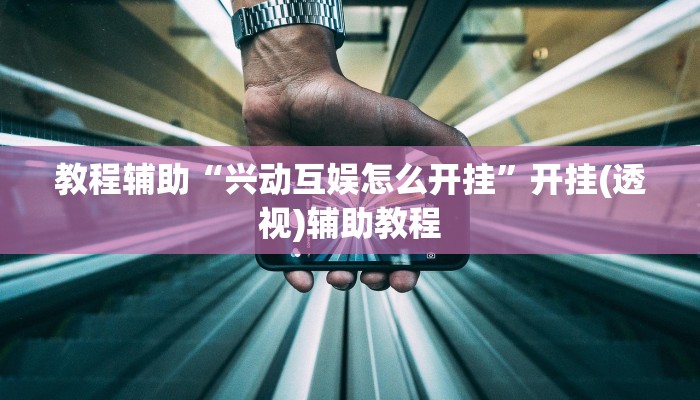 必备科技“德扑之星私人局辅助透视软件脚本”原来确实有挂