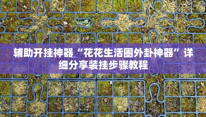 辅助开挂神器“花花生活圈外卦神器”详细分享装挂步骤教程