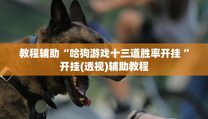 教程辅助“哈狗游戏十三道胜率开挂 ”开挂(透视)辅助教程