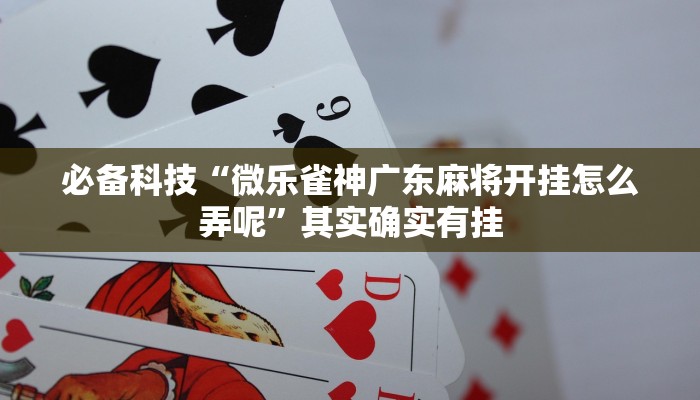 必备科技“微乐雀神广东麻将开挂怎么弄呢”其实确实有挂