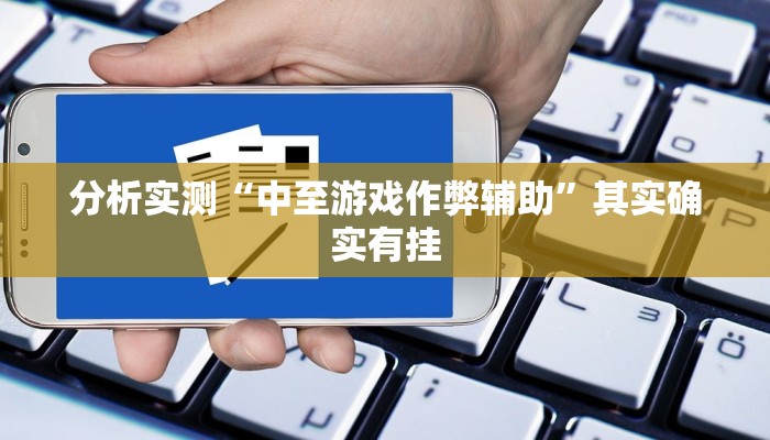 分析实测“中至游戏作弊辅助”其实确实有挂