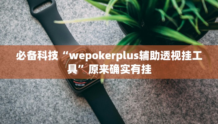 必备科技“wepokerplus辅助透视挂工具”原来确实有挂