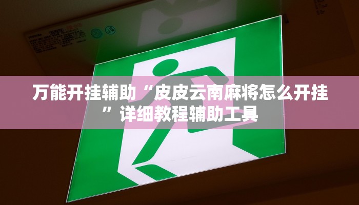 万能开挂辅助“皮皮云南麻将怎么开挂”详细教程辅助工具 万能开挂辅助“皮皮云南麻将怎么开挂”详细教程辅助工具