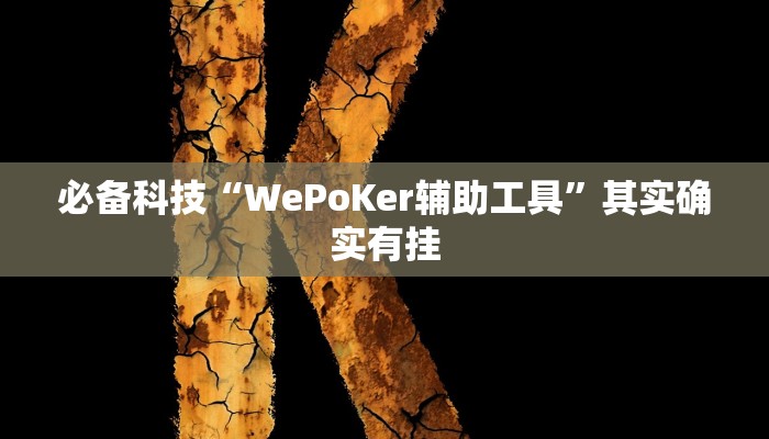 必备科技“WePoKer辅助工具”其实确实有挂