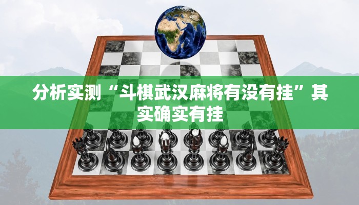 分析实测“斗棋武汉麻将有没有挂”其实确实有挂
