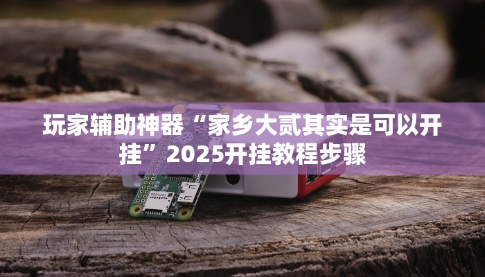 玩家辅助神器“家乡大贰其实是可以开挂”2025开挂教程步骤