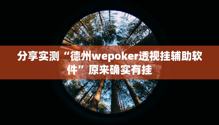 分享实测“德州wepoker透视挂辅助软件”原来确实有挂