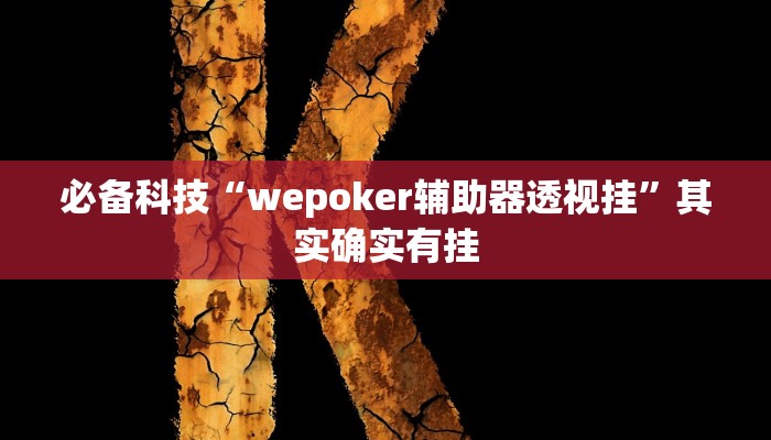 必备科技“wepoker辅助器透视挂”其实确实有挂