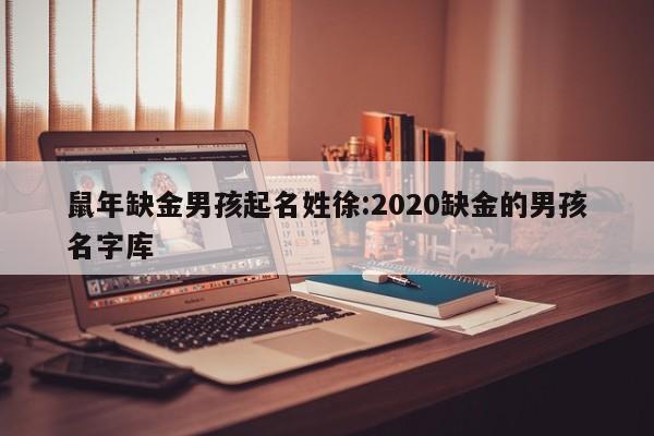 鼠年缺金男孩起名姓徐:2020缺金的男孩名字库